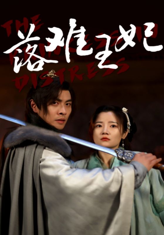 落难王妃 第28集