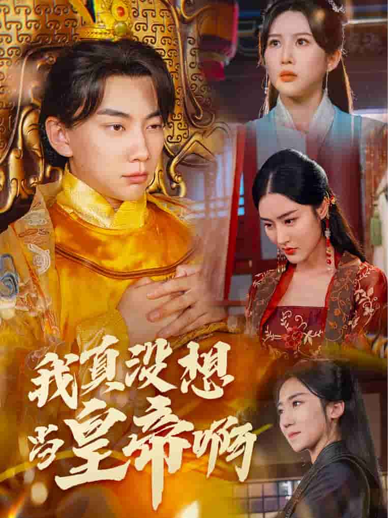 我真没想当皇帝啊 第28集