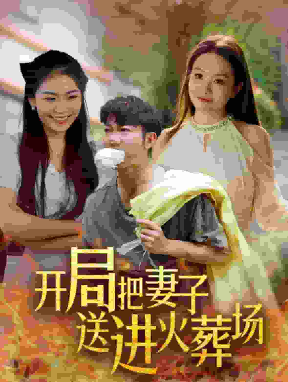 开局把妻子送进火葬场 第20集