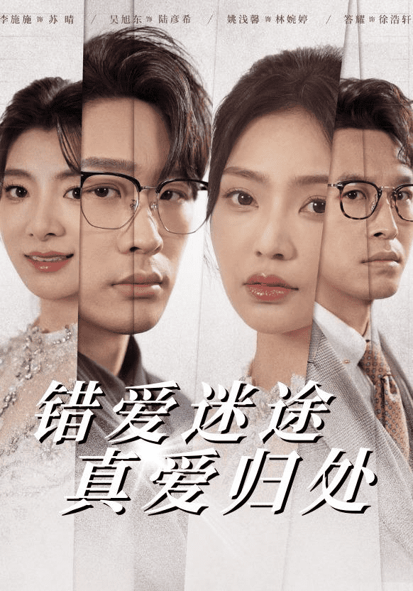 错爱迷途真爱归处 第29集