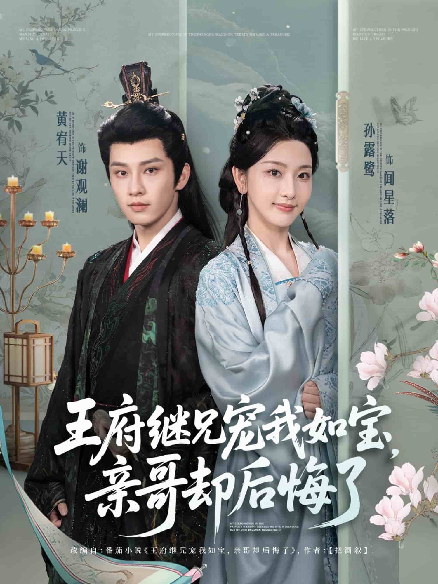 王府继兄宠我如宝，亲哥却后悔了 第41集