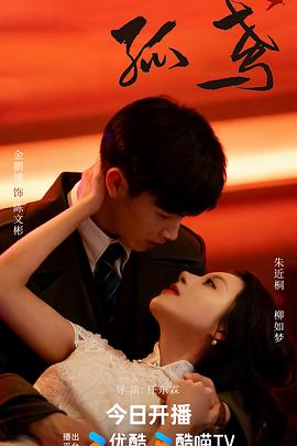 孤鸢 第15集