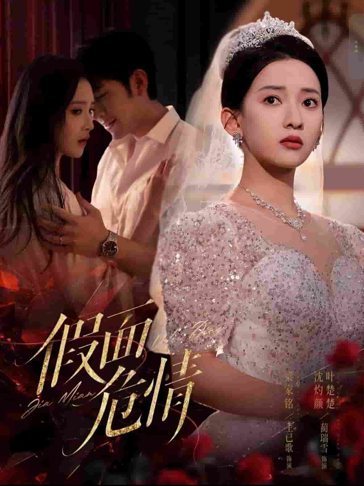 假面危情（短剧版） 第14集