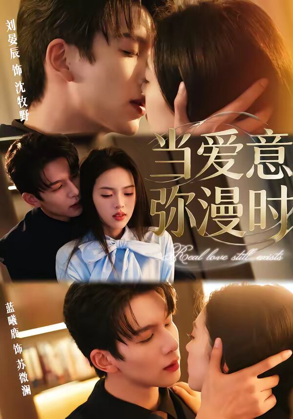 当爱意弥漫时 第29集