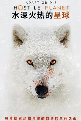 水深火热的星球(全集)