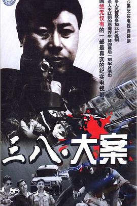 沈阳三八大案侦破纪实(全集)