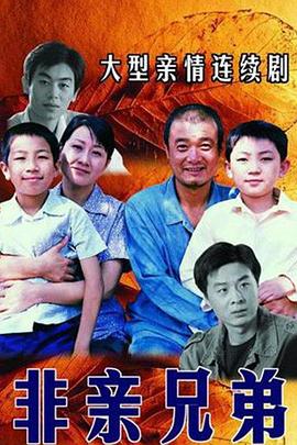 非亲兄弟 第09集