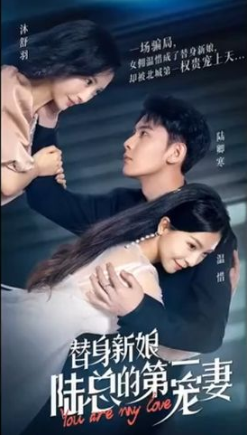 替身新娘:陆总的第一宠妻 第52集