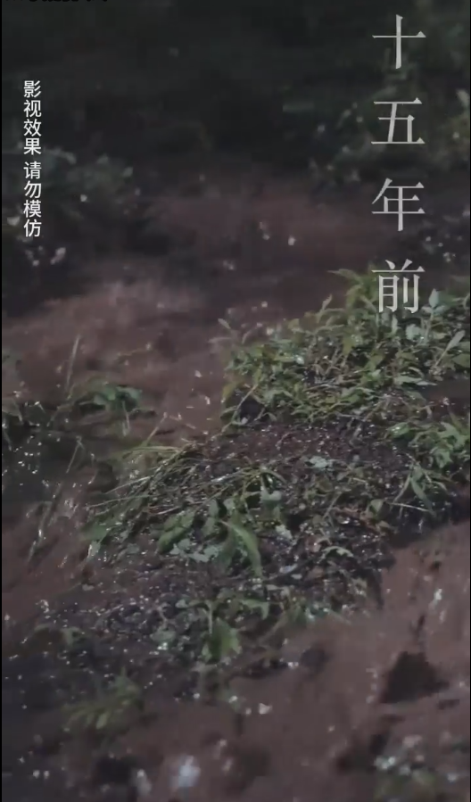 云深见朝阳 第67集