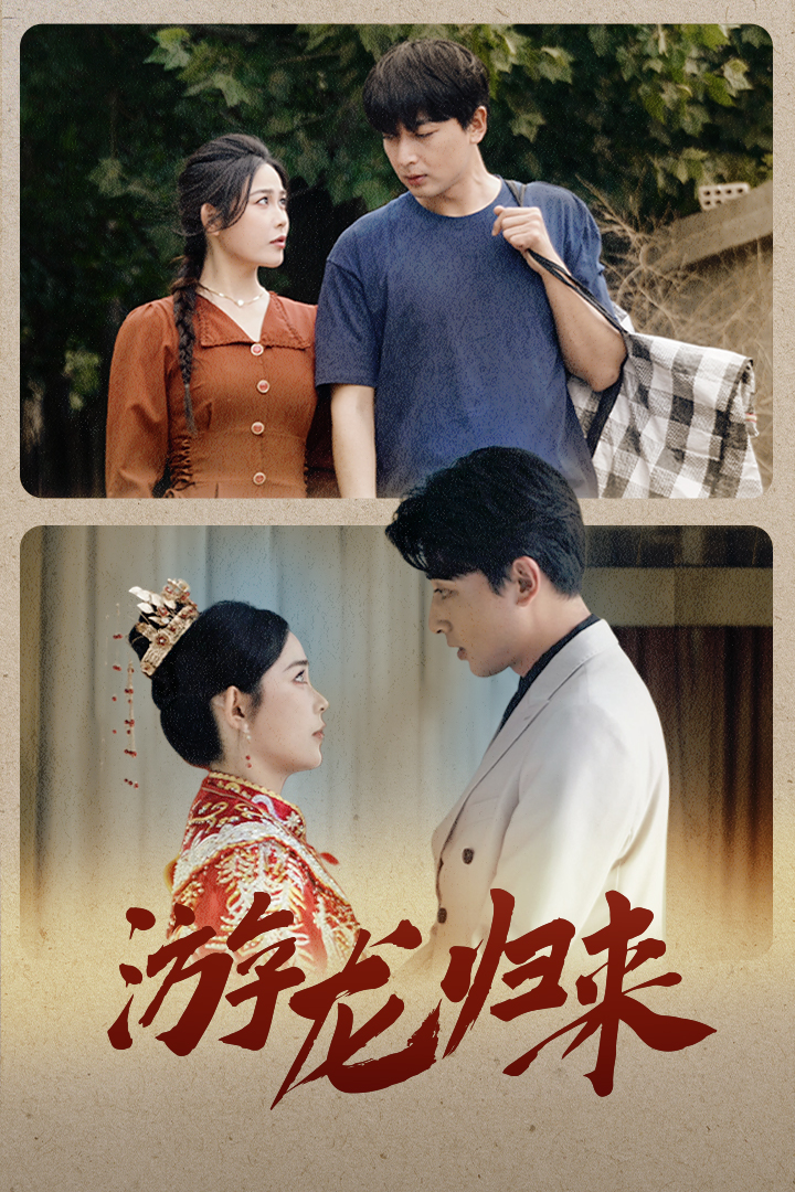 游龙归来 第09集