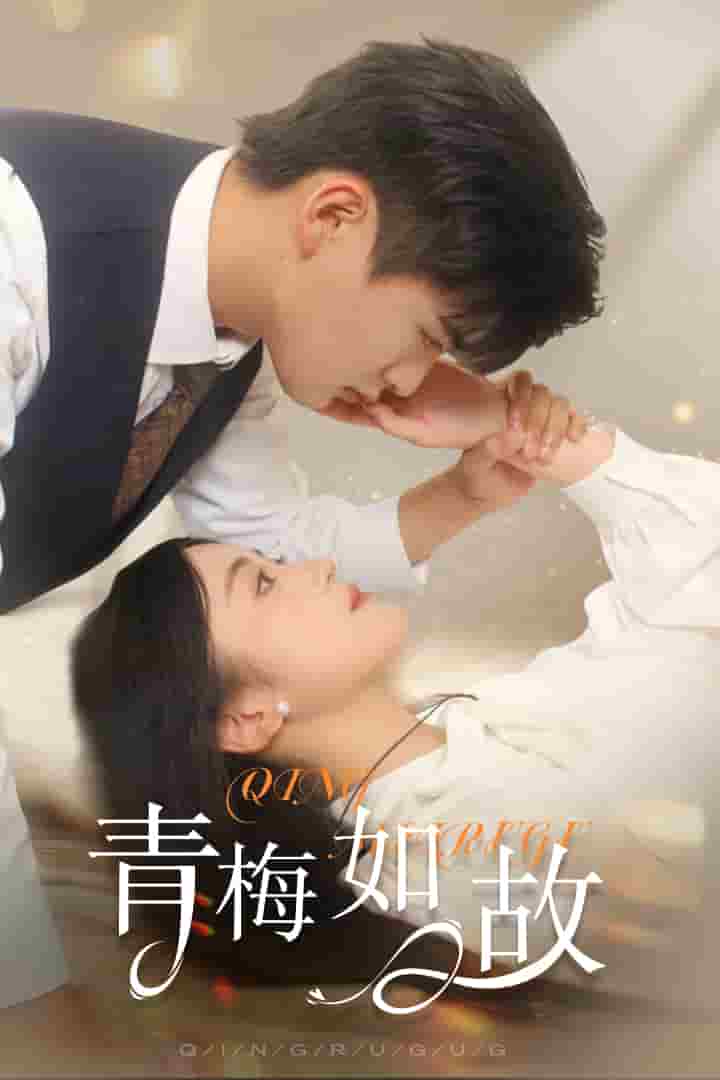 青梅如故 第38集