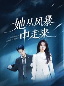 她从风暴中走来 第29集