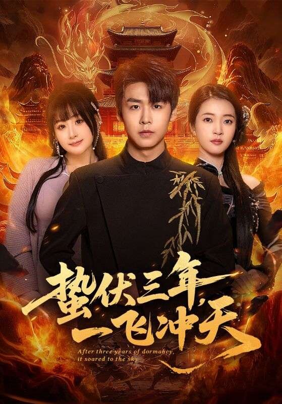 蛰伏三年，一飞冲天 第01集